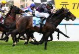 Fiorente winning the Dato' Tan Chin Nam Stakes at Moonee Valley - photo by Race Horse Photos Australia