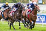 Fiorente winning the Peter Young Stakes at Caulfield ridden by Damien Oliver and trained by Gai Waterhouse - (photo by Steven Dowden/Race Horse Photos Australia)