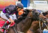 Fiorente winning the Peter Young Stakes at Caulfield ridden by Damien Oliver and trained by Gai Waterhouse - (photo by Steven Dowden/Race Horse Photos Australia)