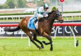 First Command winning the Mal Seccull Handicap at Caulfield - photo by Race Horse Photos Australia (Steven Dowden)