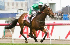 Flemington Raceday