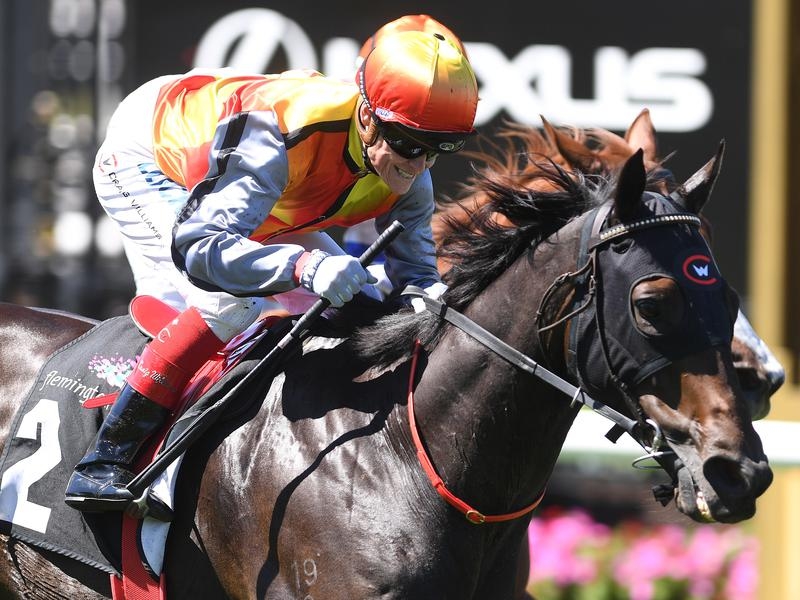 Flemington Demonstrate | Just Horse Racing