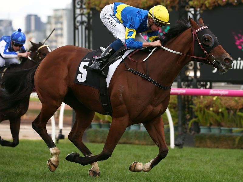 Flemington First Among Equals | Just Horse Racing