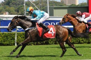 Flight Academy 231113 9795 | Just Horse Racing Flight Academy