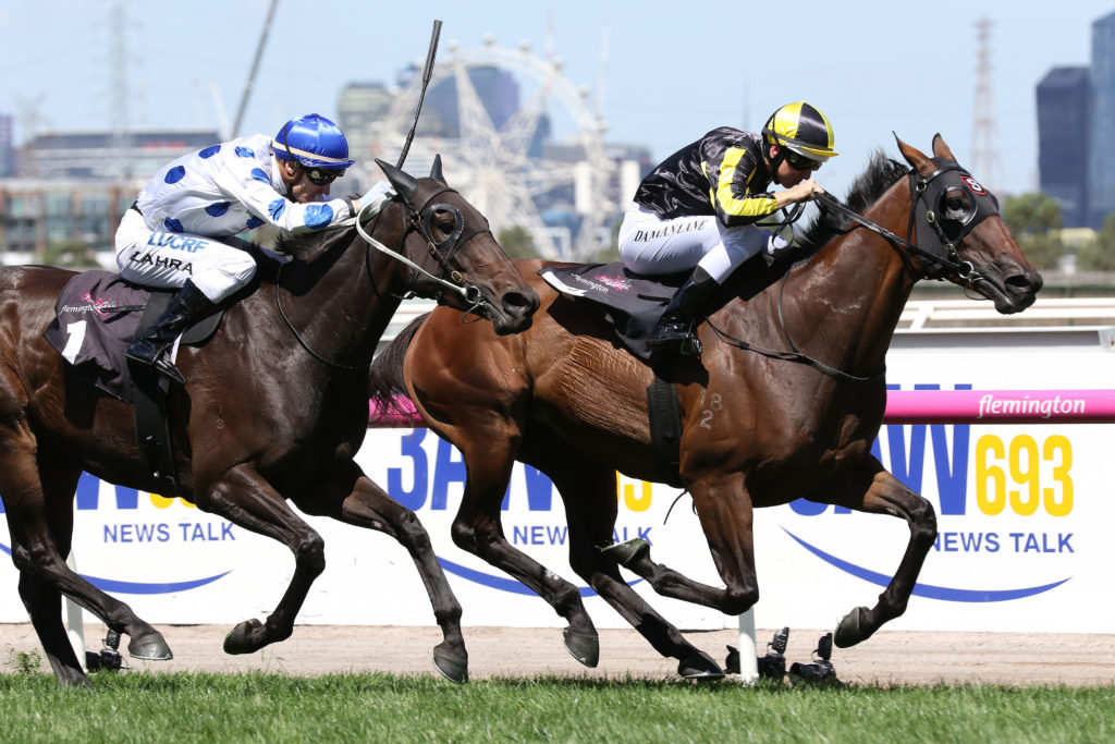 Flippant,Frances Tressady Stakes,Group 3_03-03-2018_WIN_Flemington_4__773 | Just Horse Racing