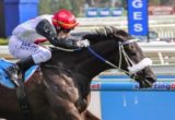Floria - Brisbane Cup 2014