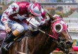 Flying Hostess winning the Dover Handicap at Flemington ridden by Harry Coffey and trained by Darren Weir - (photo by Steven Dowden/Race Horse Photos Australia)