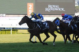 Follonica 270713 6743 | Just Horse Racing Follonica