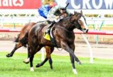 Forgive And Forget winning the Victorian Carbine Club Plate at Flemington