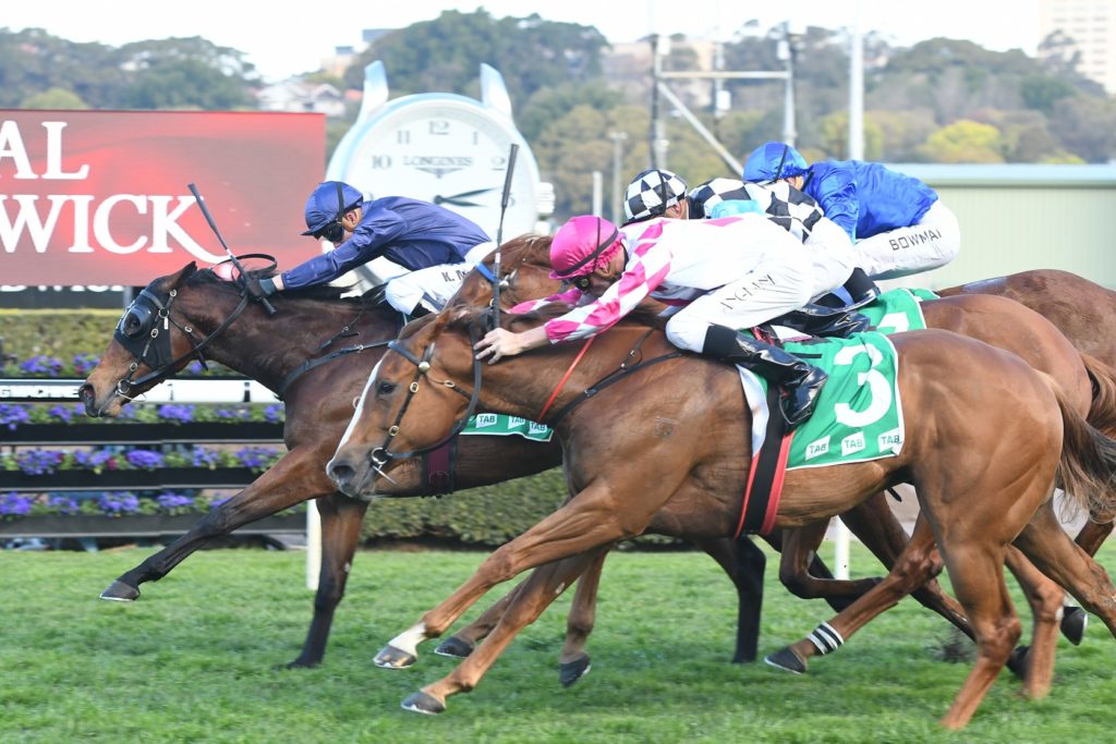 Formality 010917 4899 | Just Horse Racing