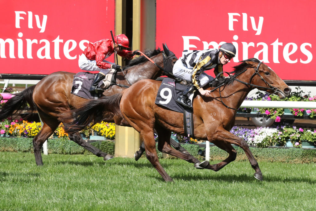 Fox Swift_16-09-2017_WIN_Flemington_1__40 | Just Horse Racing