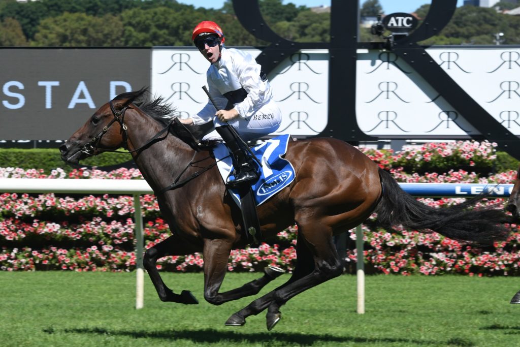 Frolic 130217 4891 | Just Horse Racing