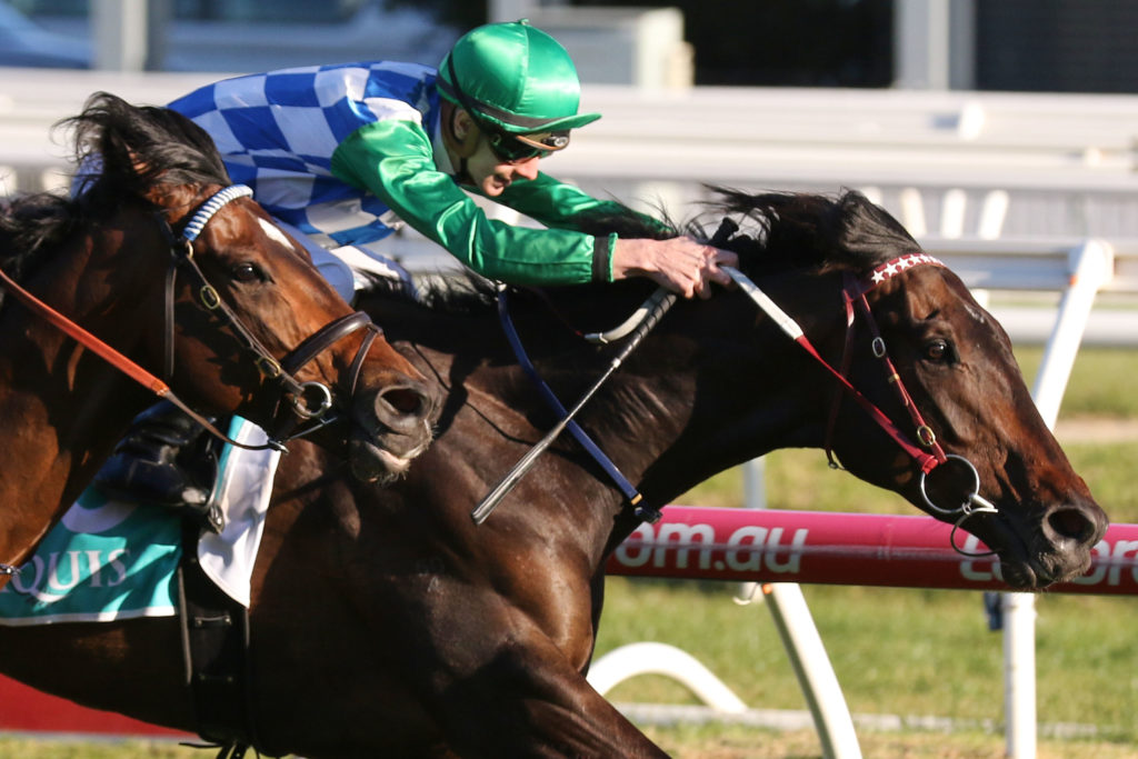Furrion_30-09-2018_WIN_Caulfield_9__1665 | Just Horse Racing