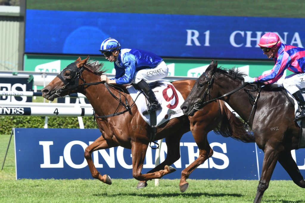 Futooh 140418 1144 | Just Horse Racing