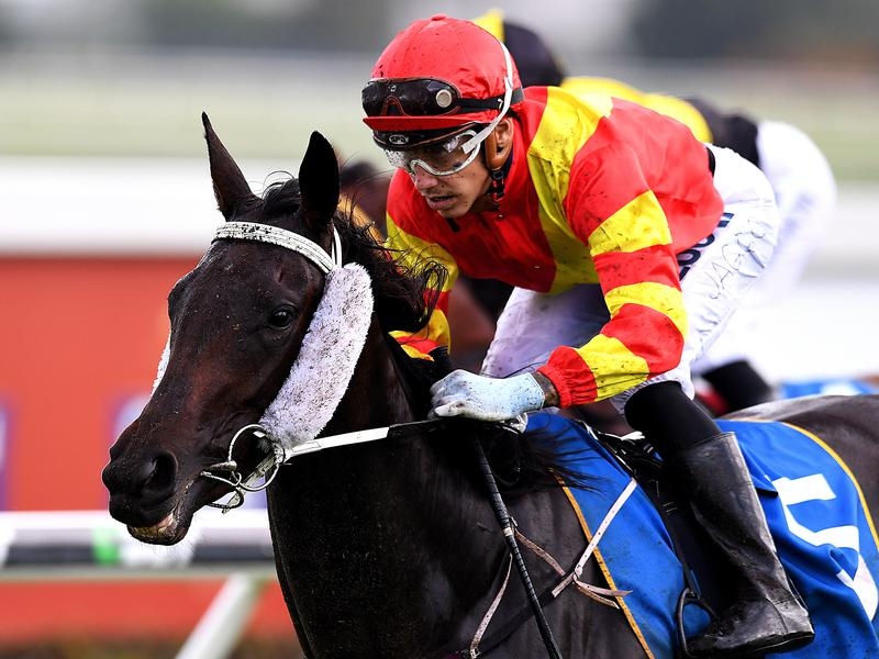 GCoast Preview | Just Horse Racing