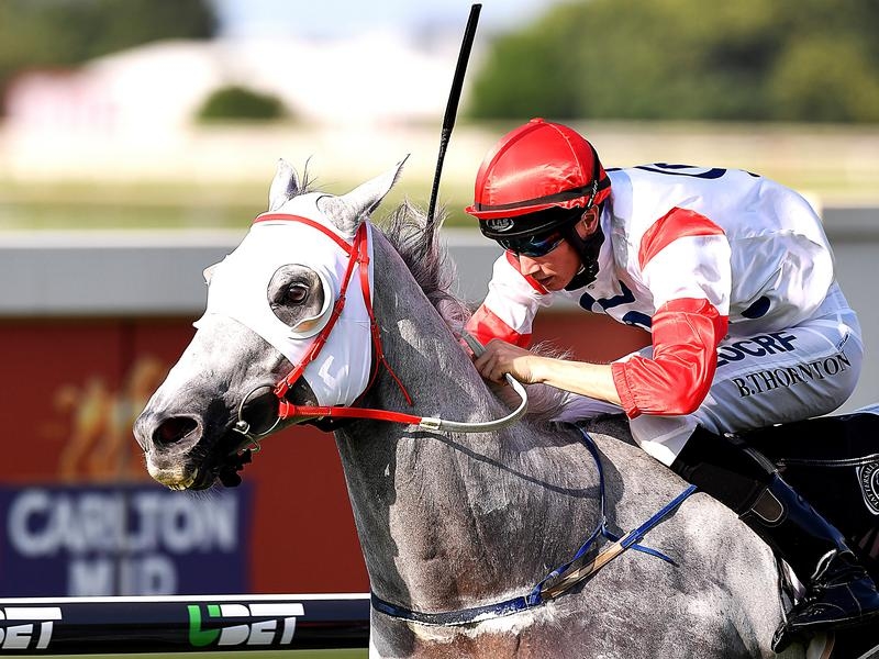 GCoast Preview | Just Horse Racing