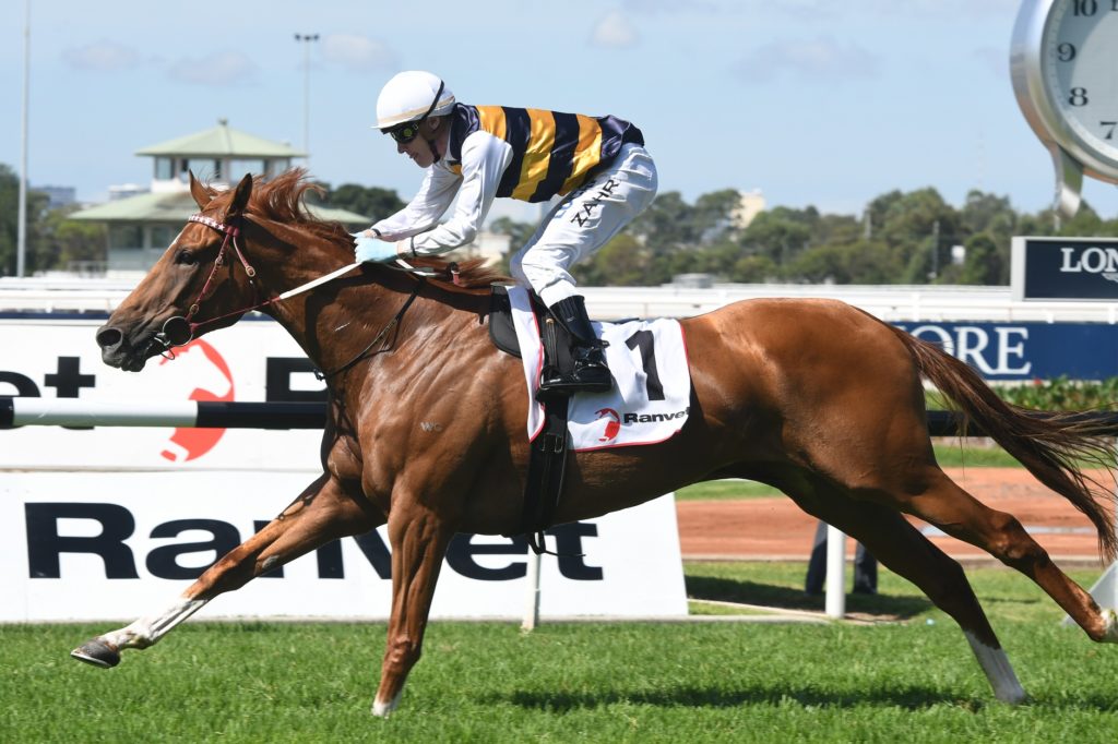 Gailo Chop 240318 3966 | Just Horse Racing
