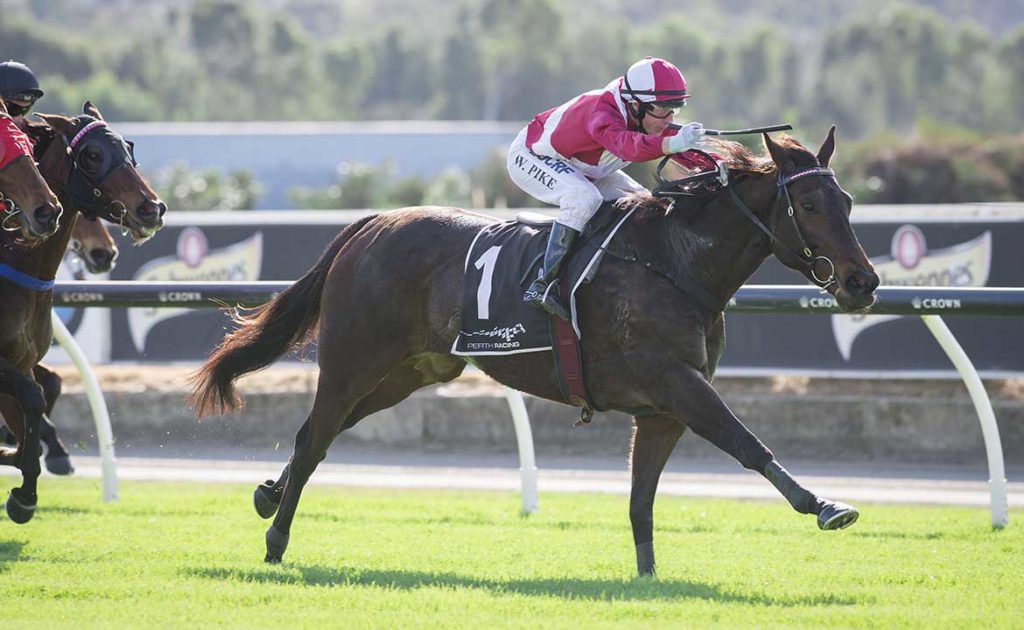 Galaxy Star | Just Horse Racing