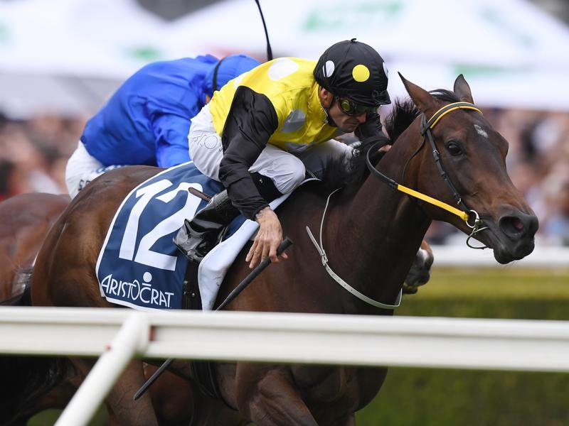 in her time | Just Horse Racing