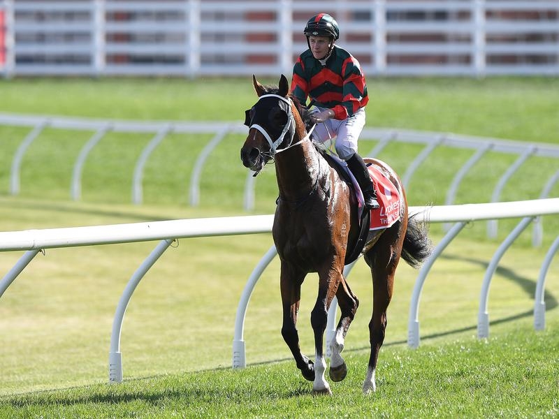 Gallops Autumn Sun | Just Horse Racing