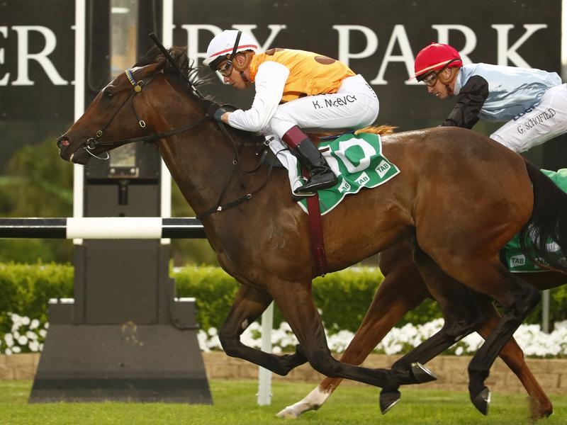 Sweet Ava | Just Horse Racing