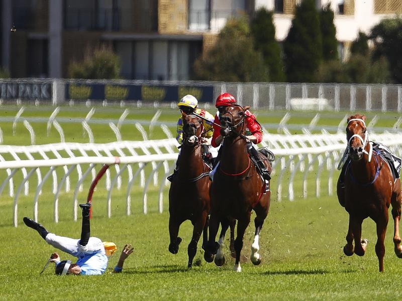 Gallops Bowman | Just Horse Racing
