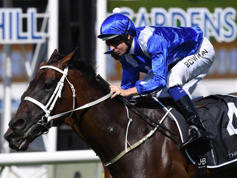 Gallops Bowman | Just Horse Racing