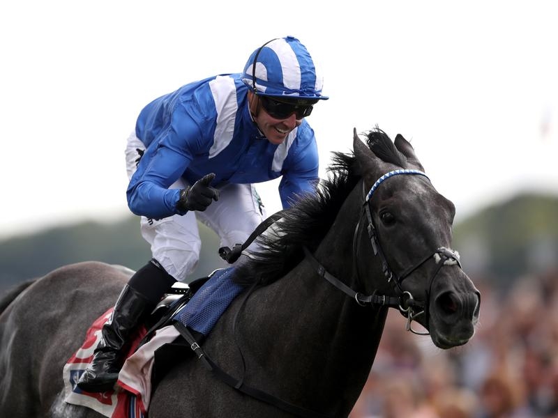 Gallops Ebor | Just Horse Racing