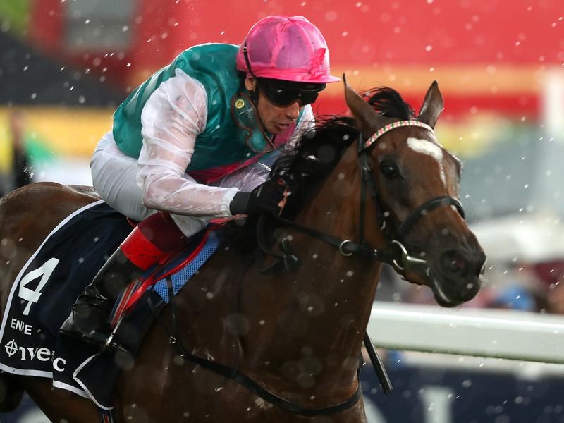 Gallops Enable | Just Horse Racing