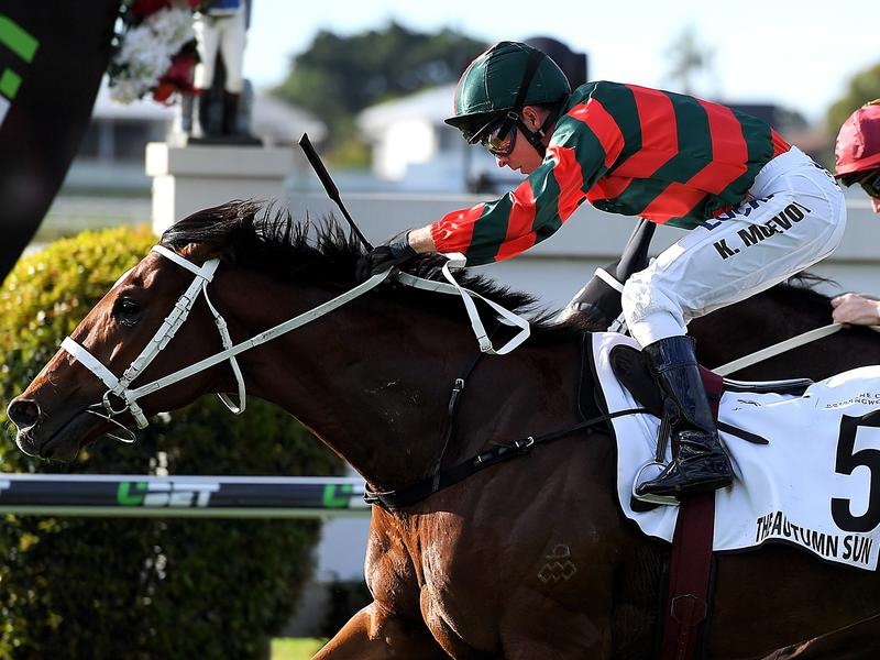 Gallops The Autumn Sun | Just Horse Racing
