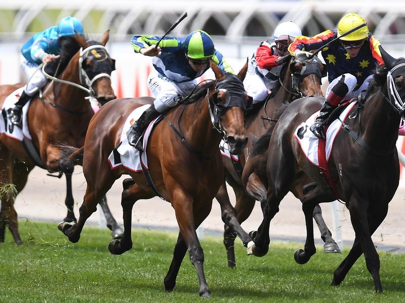 Gallops Kembla | Just Horse Racing