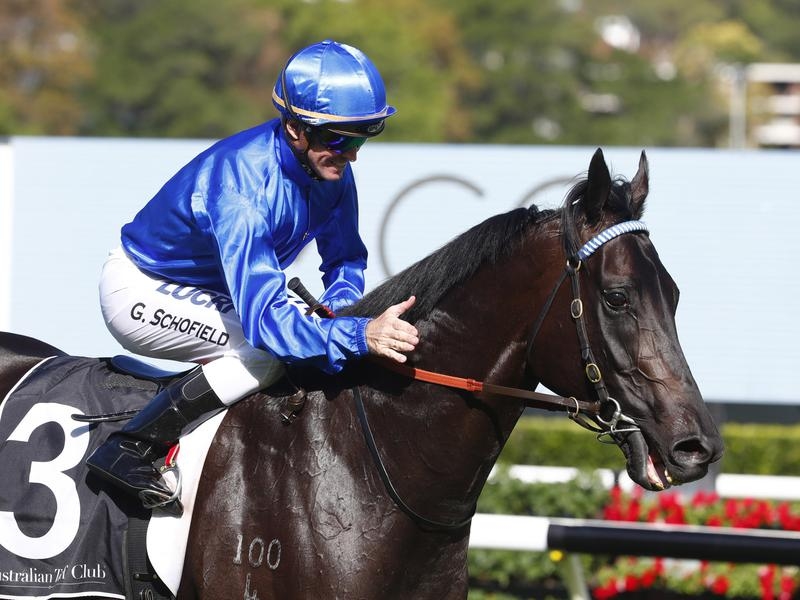 Gallops Kementari | Just Horse Racing