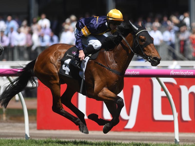 Gallops Masque | Just Horse Racing