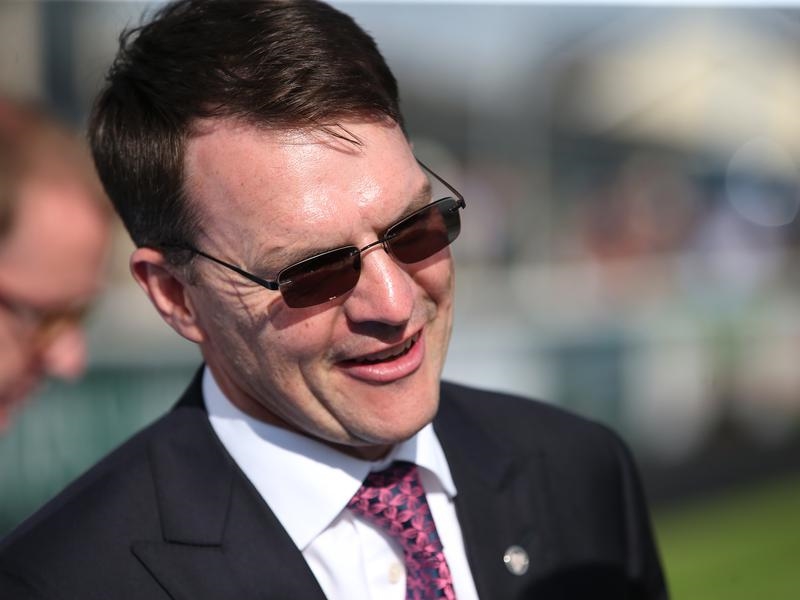 Gallops O'Brien | Just Horse Racing