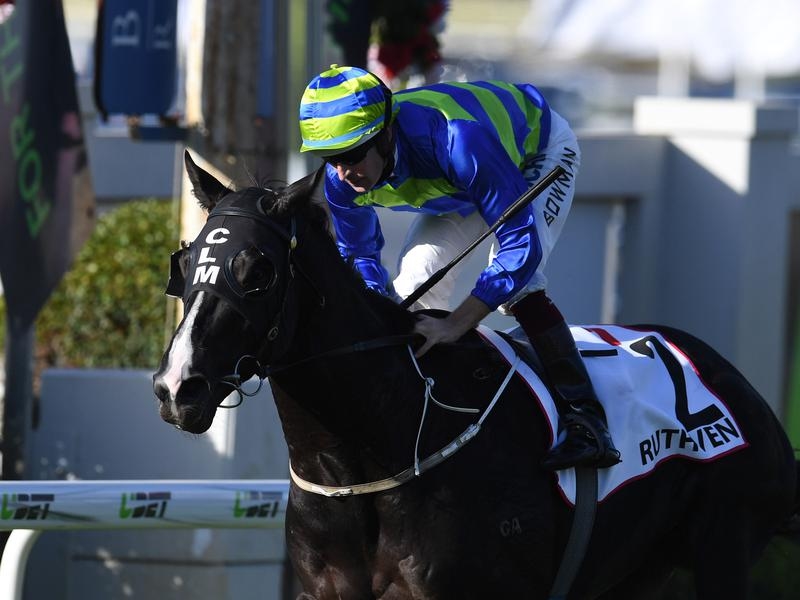 Gallops Oliver | Just Horse Racing