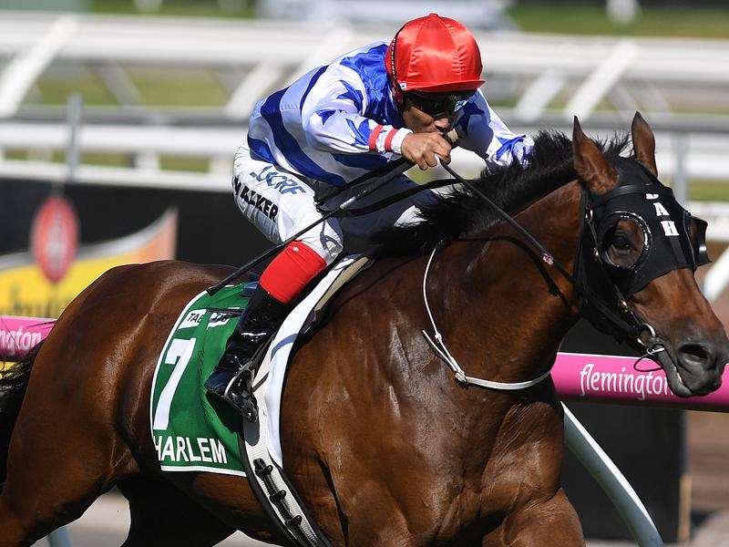 Gallops Ranvet | Just Horse Racing