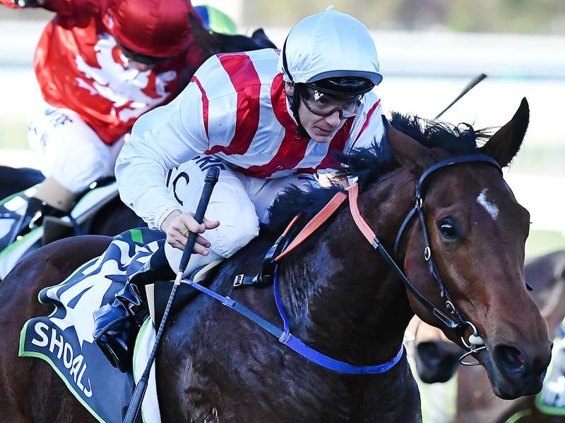 Gallops Shoals | Just Horse Racing