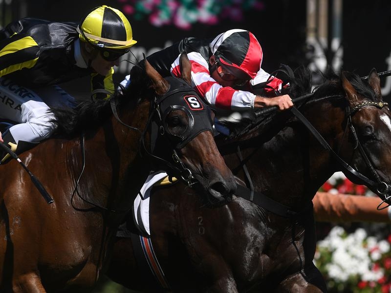 Gallops Sky | Just Horse Racing