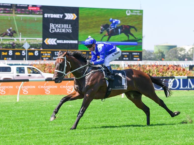 Gallops Winx | Just Horse Racing
