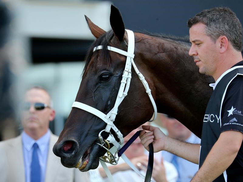 Gallops Winx | Just Horse Racing