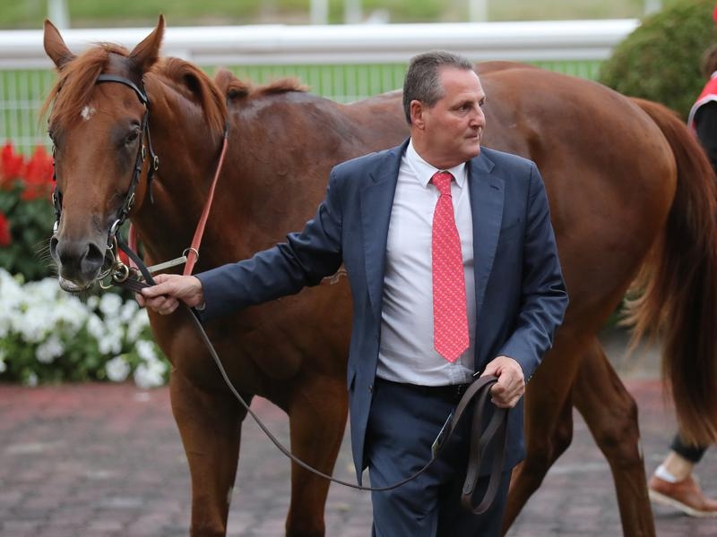 Written By - Grahame Begg | Just Horse Racing
