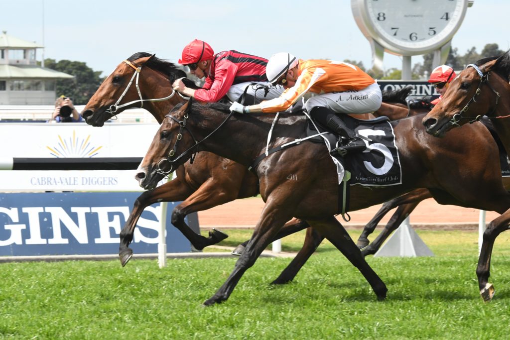 Gem Song 220918 4856 | Just Horse Racing