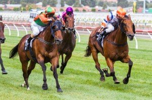 General Truce winning the Kensington Stakes at Flemington ridden by Chris Symons and trained by Ricky Maund - (photo by Steven Dowden/Race Horse Photos Australia)