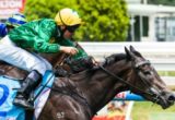 MELBOURNE, AUSTRALIA - 30/11/2013: Girl In Flight winning the Leigh Thomas Gift at Caulfield ridden by Ryan Maloney and trained by Robbie Griffiths - (photo by Steven Dowden/Race Horse Photos Australia)