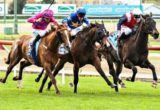 Gloop winning the Aquanas Foods Handicap at Race Club ridden by Daniel Stackhouse and trained by Chris Hyland - (photo by Steven Dowden/Race Horse Photos Australia)