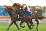 Goldslick - Michael Cahill