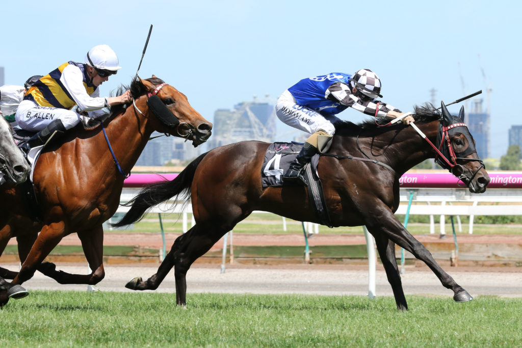 Goldstream_28-01-2017_WIN_Flemington_5__652 | Just Horse Racing