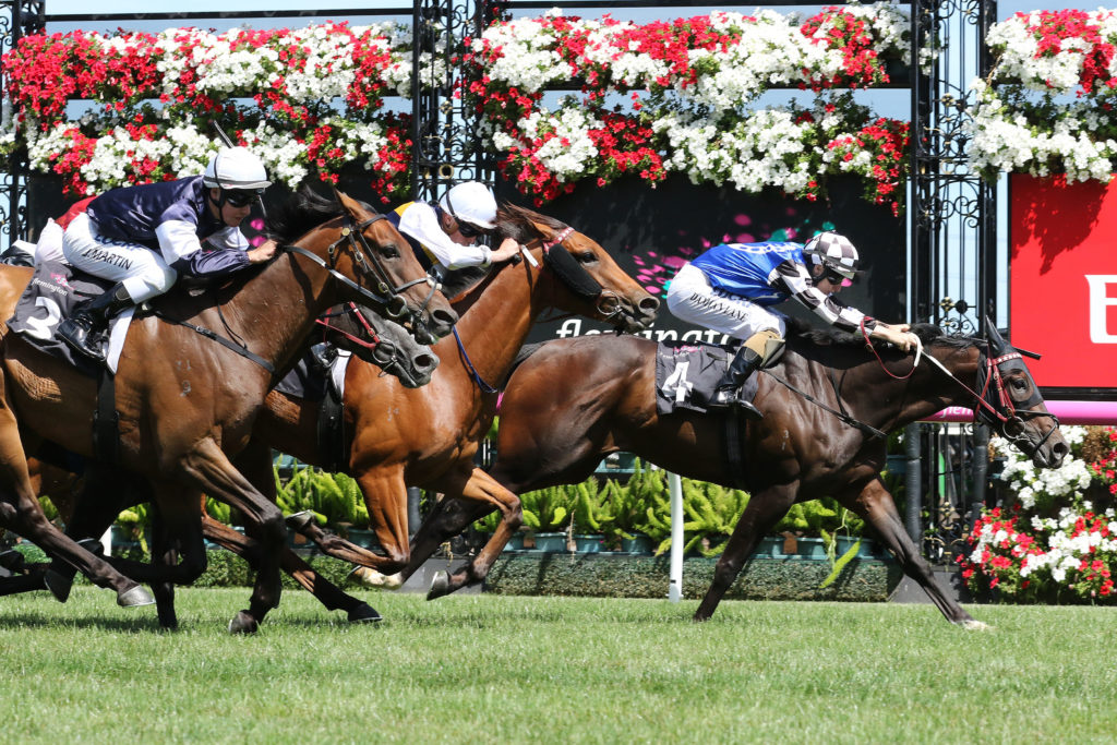Goldstream_28-01-2017_WIN_Flemington_5__657 | Just Horse Racing