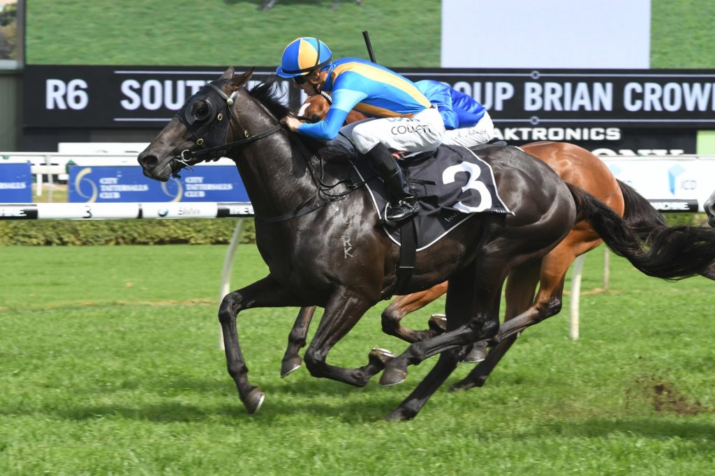 Goodfella 211017 3650 | Just Horse Racing