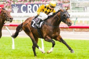 Gracious Prospect winning the Primacy Handicap at Flemington ridden by Katelyn Mallyon and trained by David Hayes - (photo by Steven Dowden/Race Horse Photos Australia)